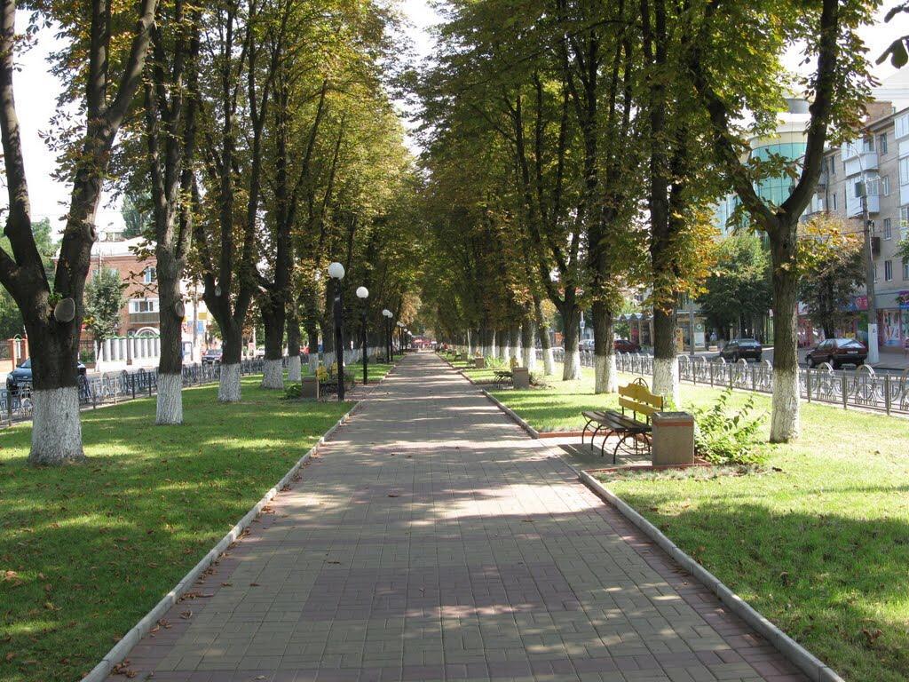 Неймовірно Затишна Студія У Центрі Міста Біля Лікарні Імені Пирогова Vinnytsia Exteriör bild